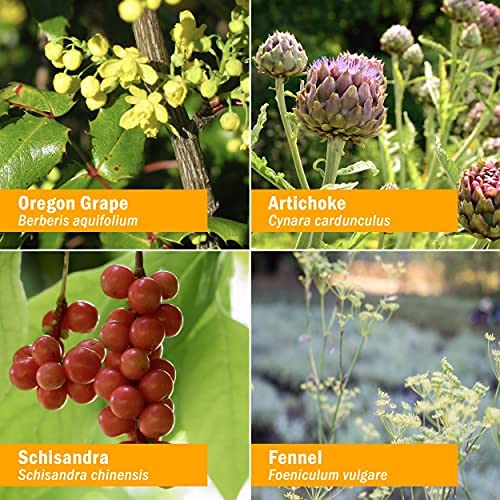 Herb Pharm Liver Health Herbal Formula ingredients list