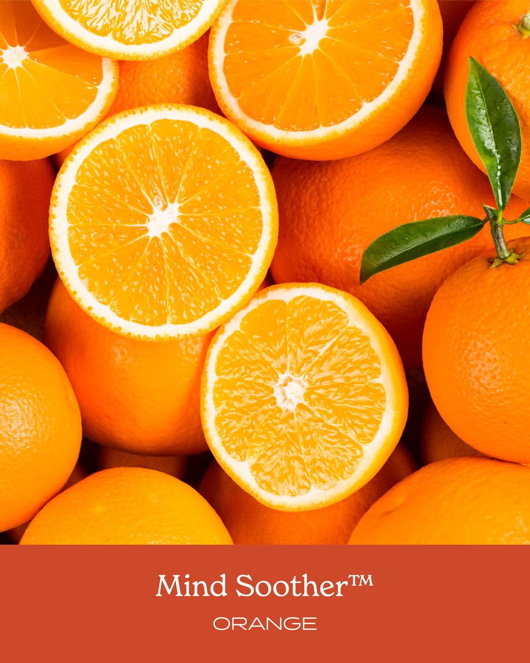 Herb Pharm Mind Soother™: Orange Kava Liquid bottle with herbs