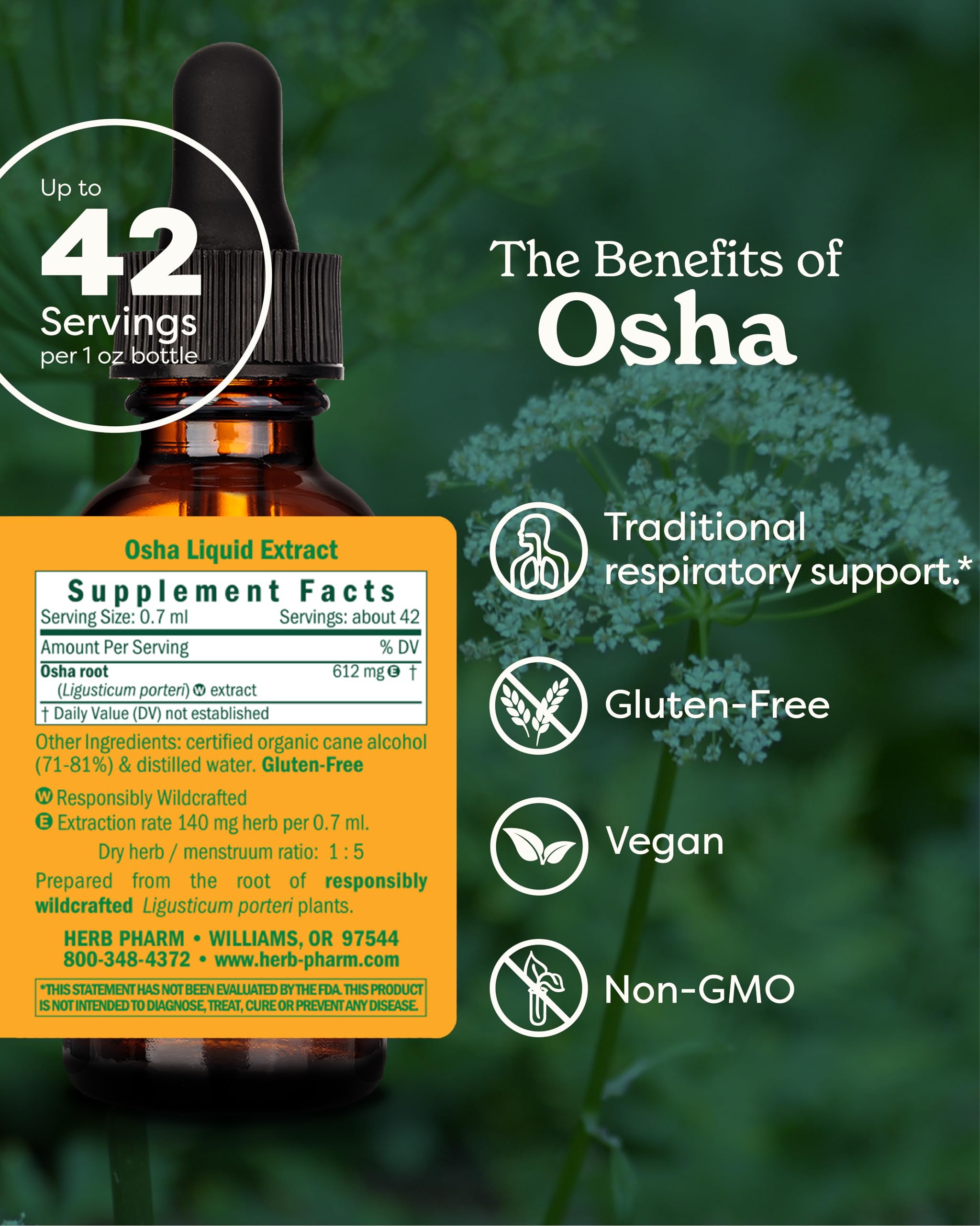 Herb Pharm Osha Root Liquid Extract 28g bottle side view