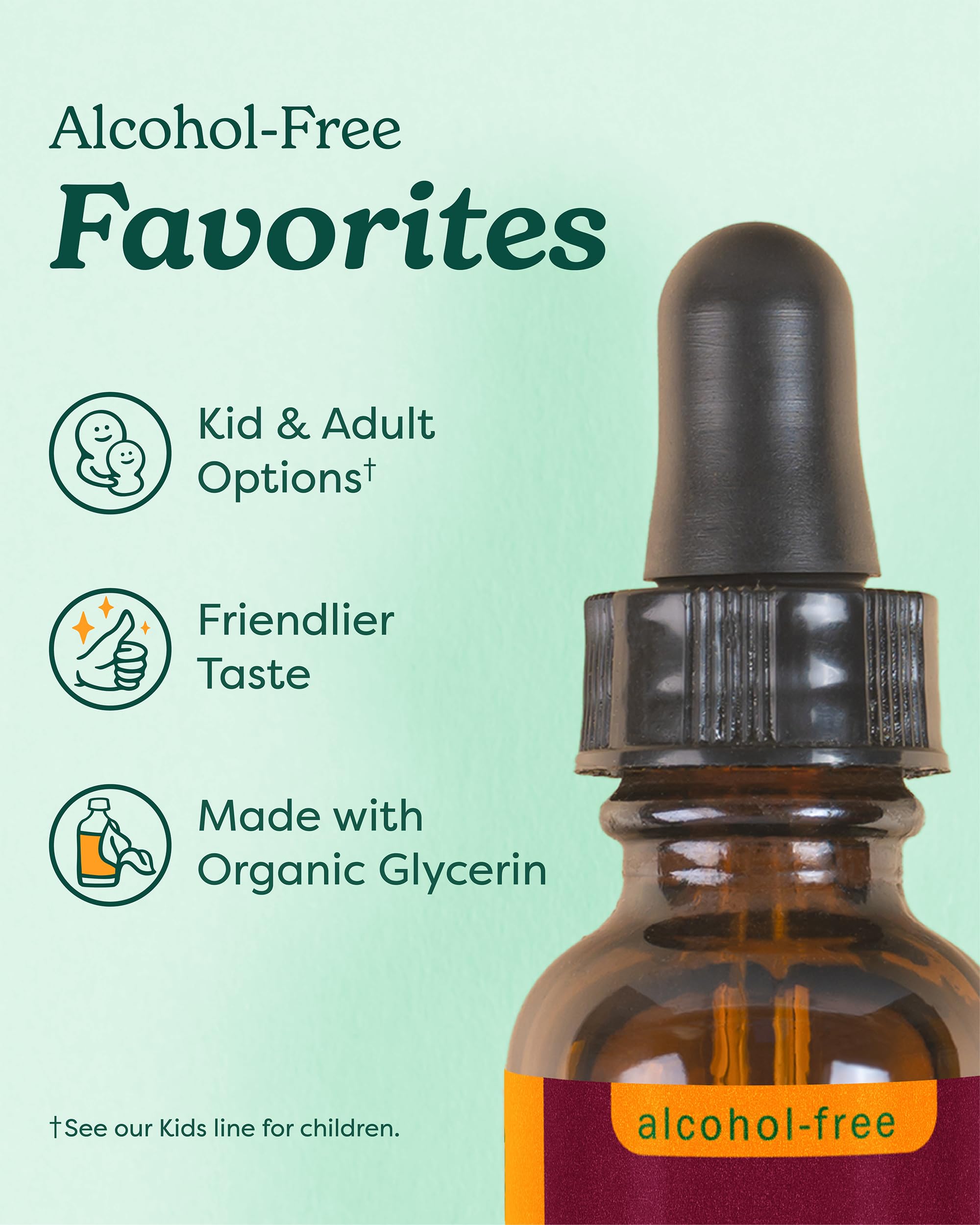 Herb Pharm Skullcap Alcohol-Free Liquid Herbal Extract 4 Fl Oz back view showing ingredients