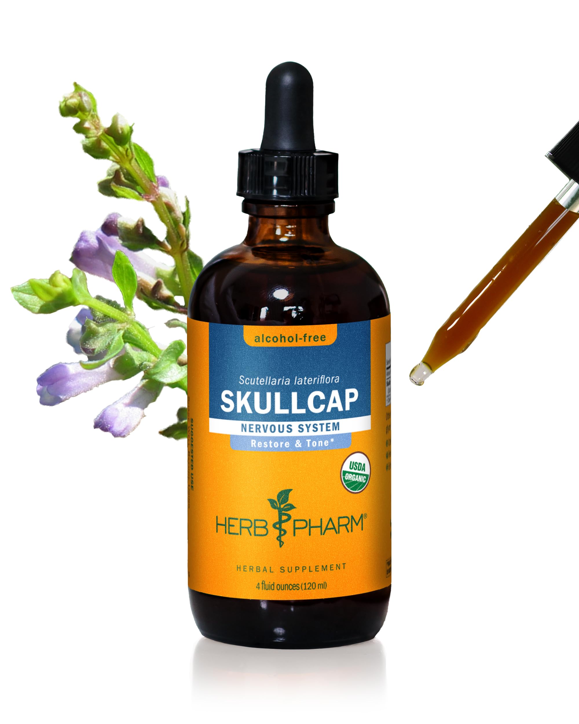 Herb Pharm Skullcap Alcohol-Free Liquid Herbal Extract 4 Fl Oz front view