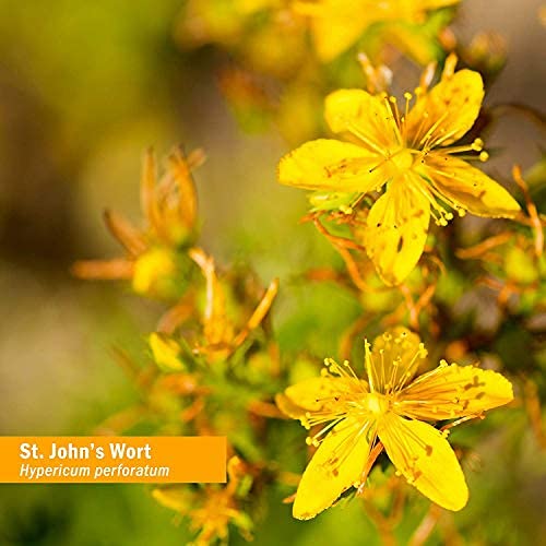 Herb Pharm St. John's Wort Oil packaging details