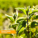 Herb Pharm Stinging Nettle Liquid Extract 113g back label