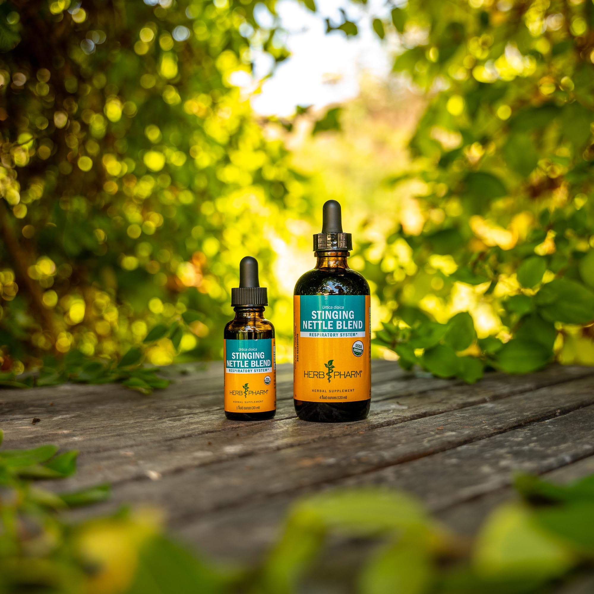 Herb Pharm Stinging Nettle Liquid Extract 113g lifestyle scene