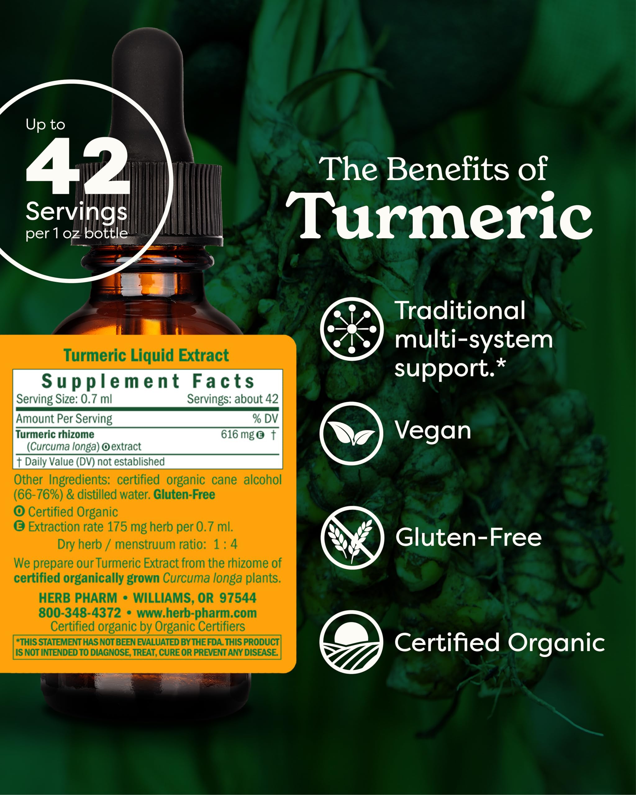 Herb Pharm Turmeric Liquid Extract 1 oz bottle side view