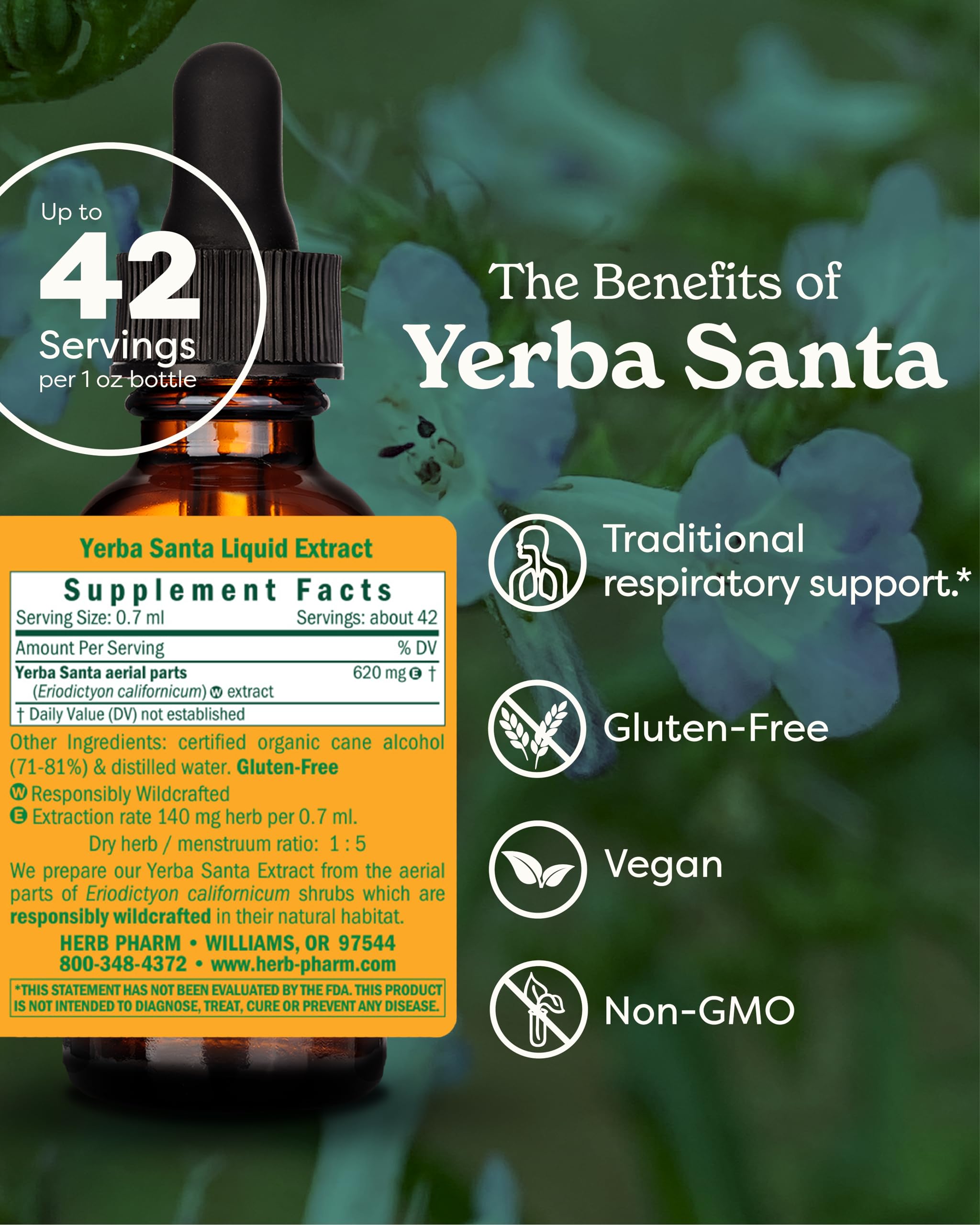 Herb Pharm Yerba Santa Liquid Extract 28g back view