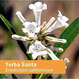 Herb Pharm Yerba Santa Liquid Extract 28g ingredients list