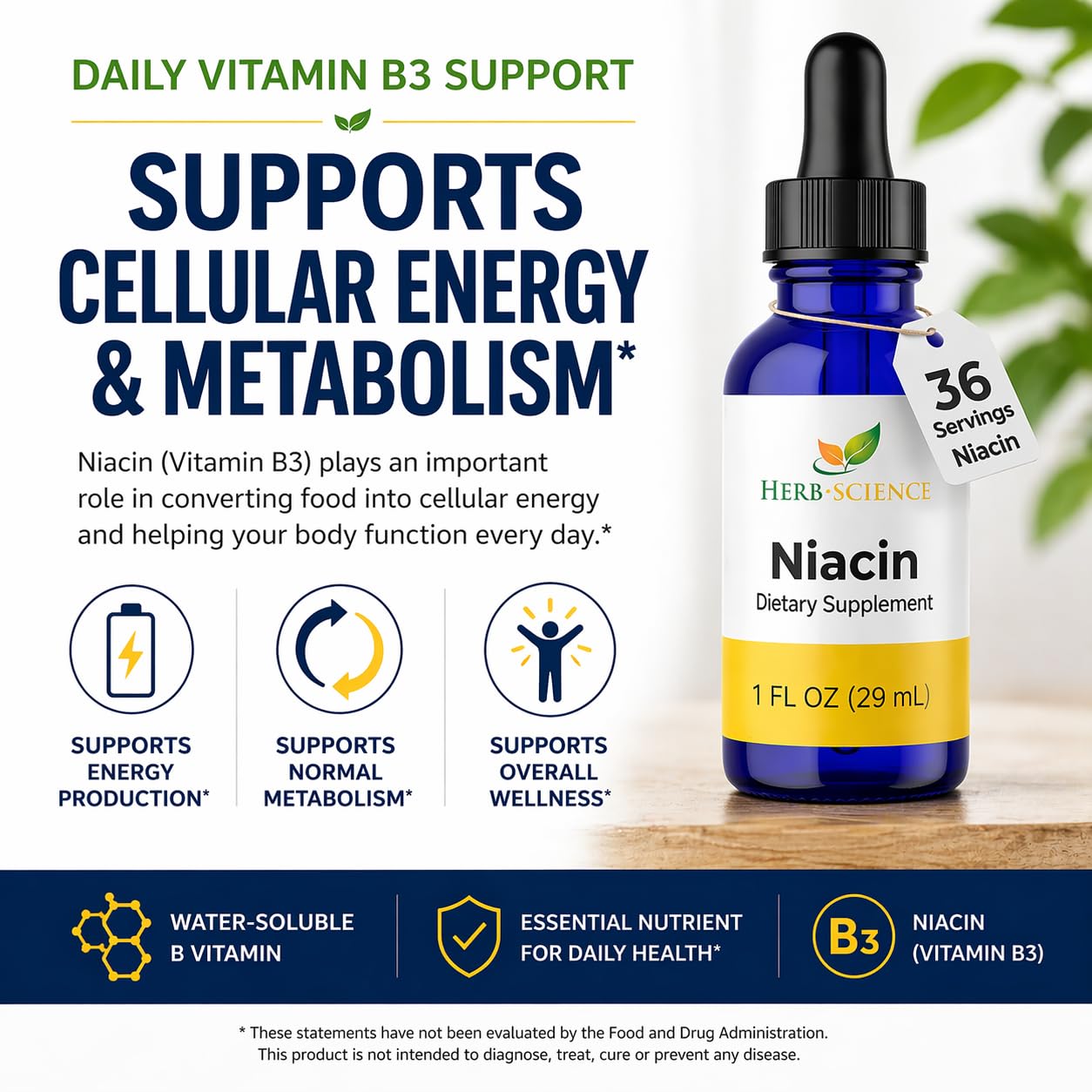 Herb-Science Liquid Vitamin B3 (Niacin) Drops ingredients list