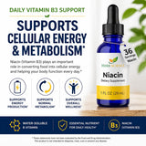 Herb-Science Liquid Vitamin B3 (Niacin) Drops ingredients list