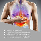 HERBAL HILLS Aloe Vera Capsules 500mg packaging details