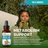 Herbal Papaya Guava Leaf Extract Liquid Supplement with guava leaves