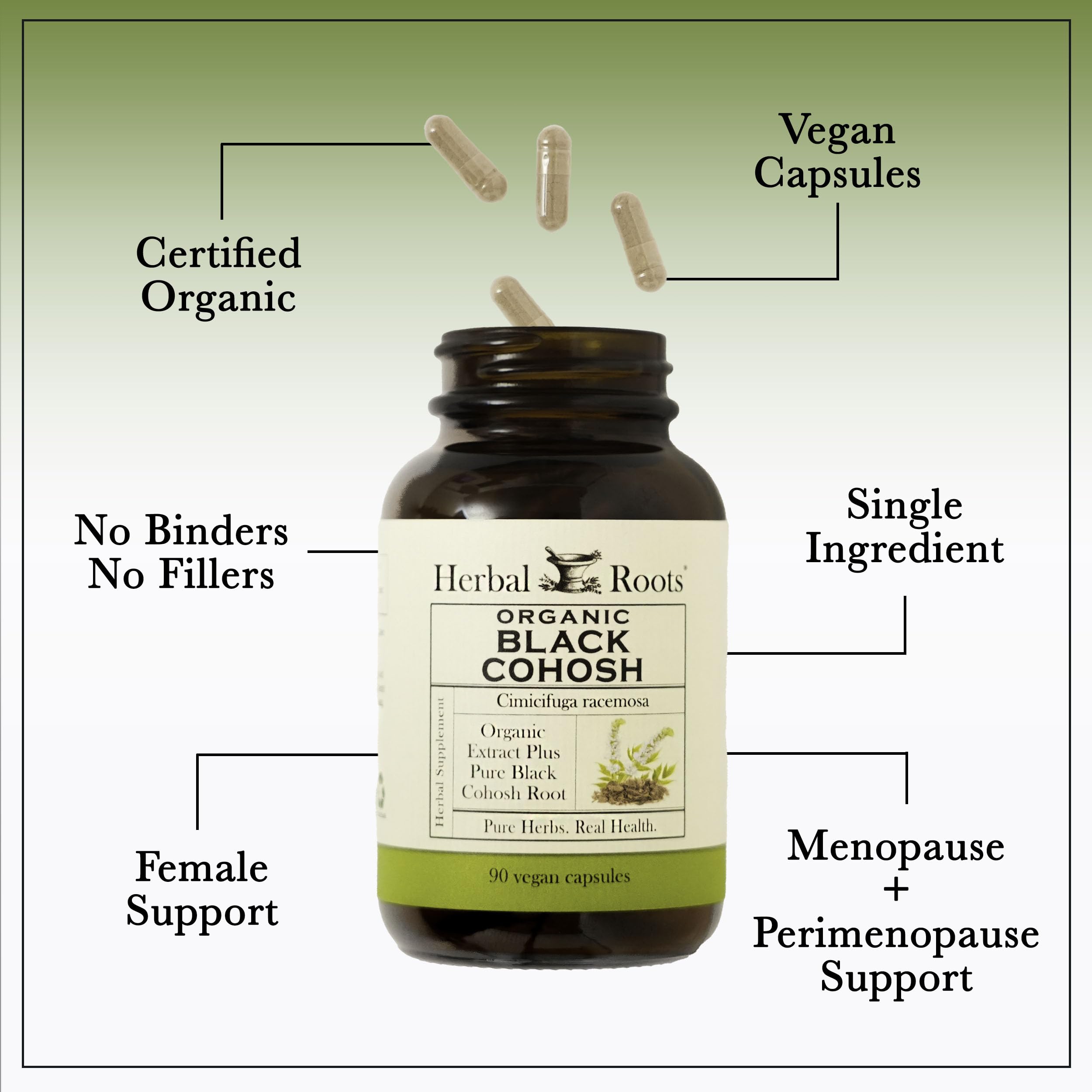 Herbal Roots Black Cohosh Supplement in a lifestyle setting