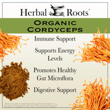 Herbal Roots Cordyceps Extract capsule close-up