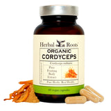 Herbal Roots Cordyceps Extract front view packaging