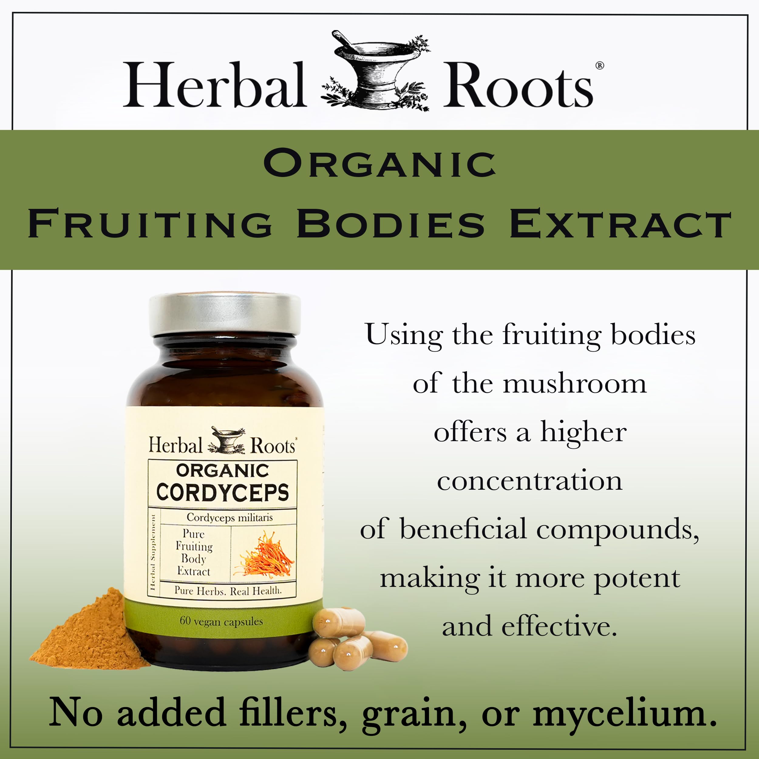 Herbal Roots Cordyceps Extract with mushrooms background