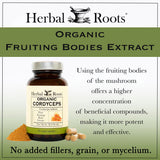 Herbal Roots Cordyceps Extract with mushrooms background