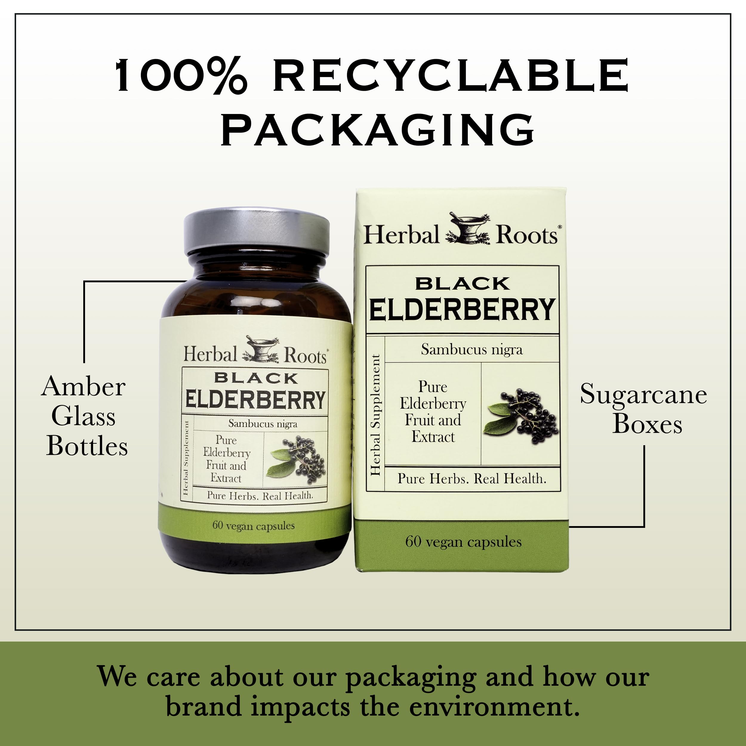 Herbal Roots Elderberry Extract Capsules ingredients list