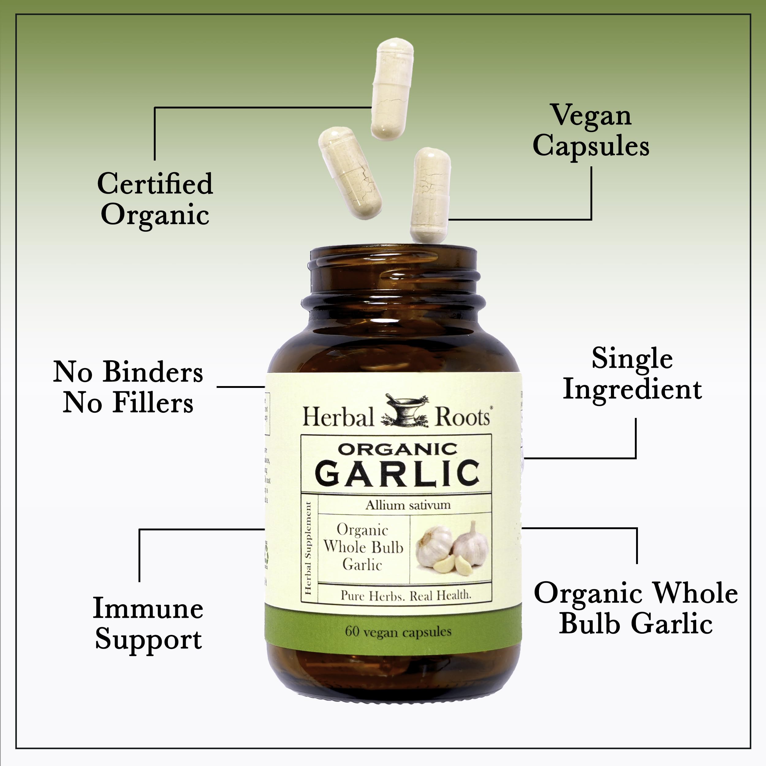 Herbal Roots Garlic Capsules close-up of organic ingredients