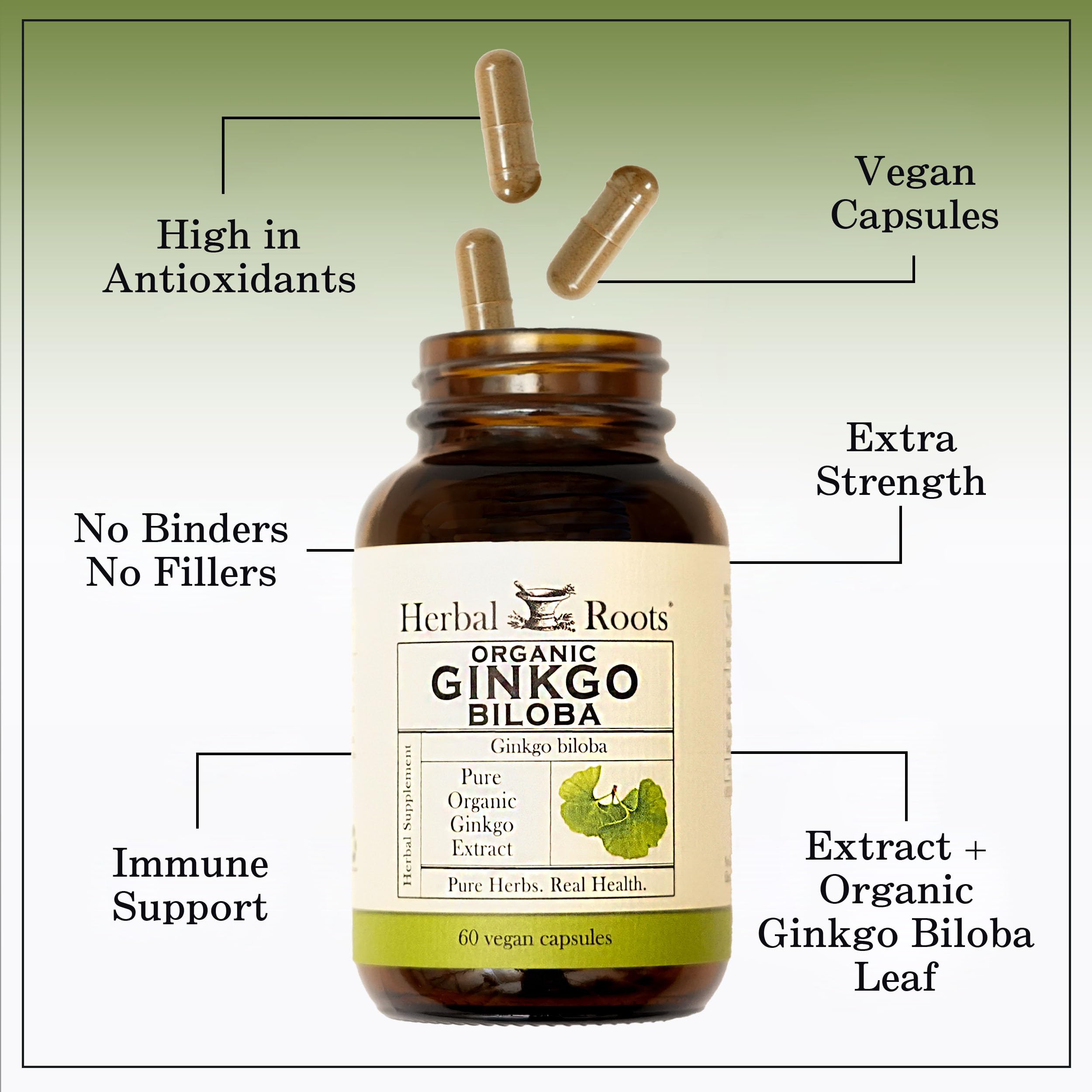 Herbal Roots Ginkgo Biloba Capsules top view showing capsule size