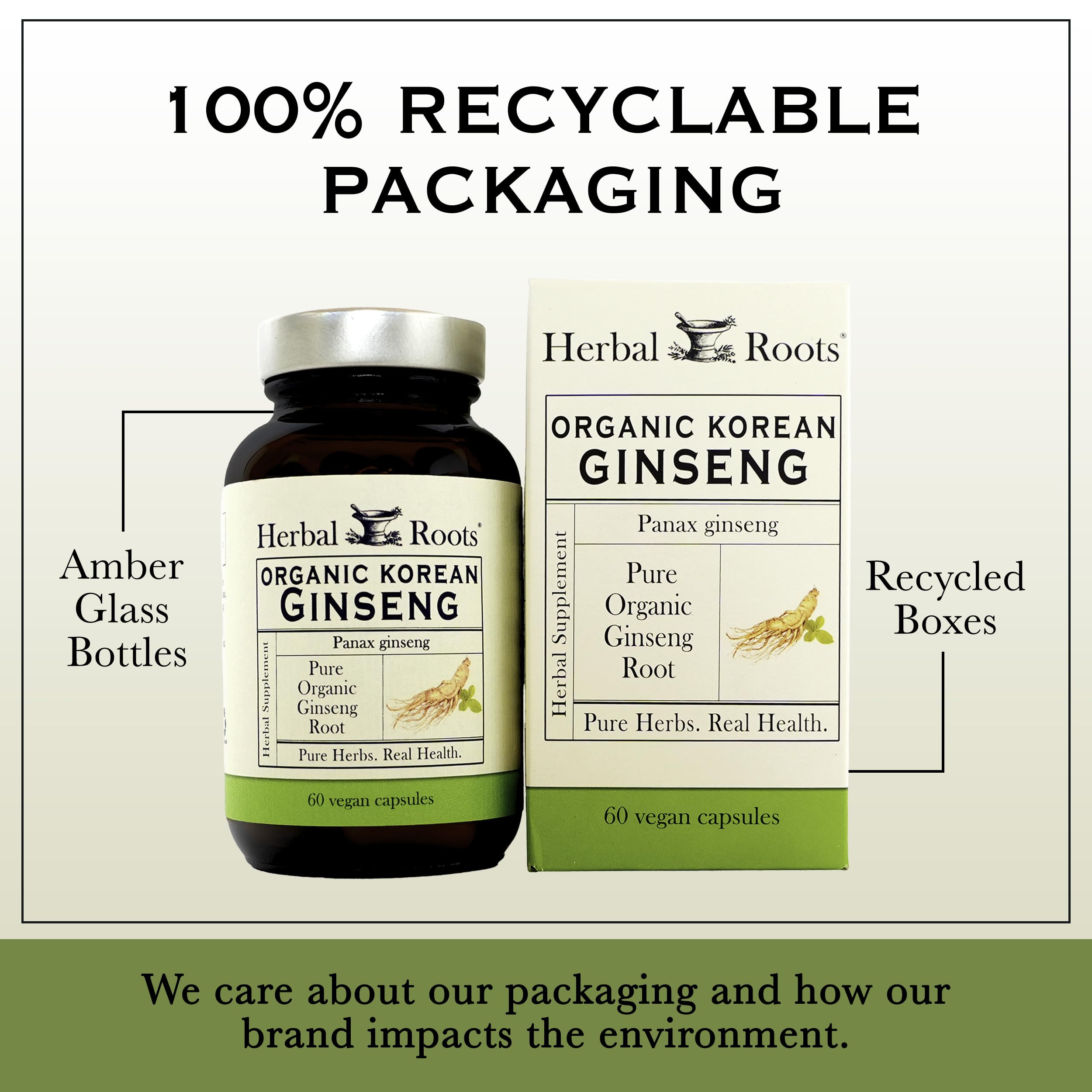 Herbal Roots Ginseng Capsules back view with ingredient list