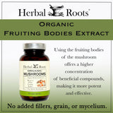 Herbal Roots Mushroom Blend Organic Supplement capsules
