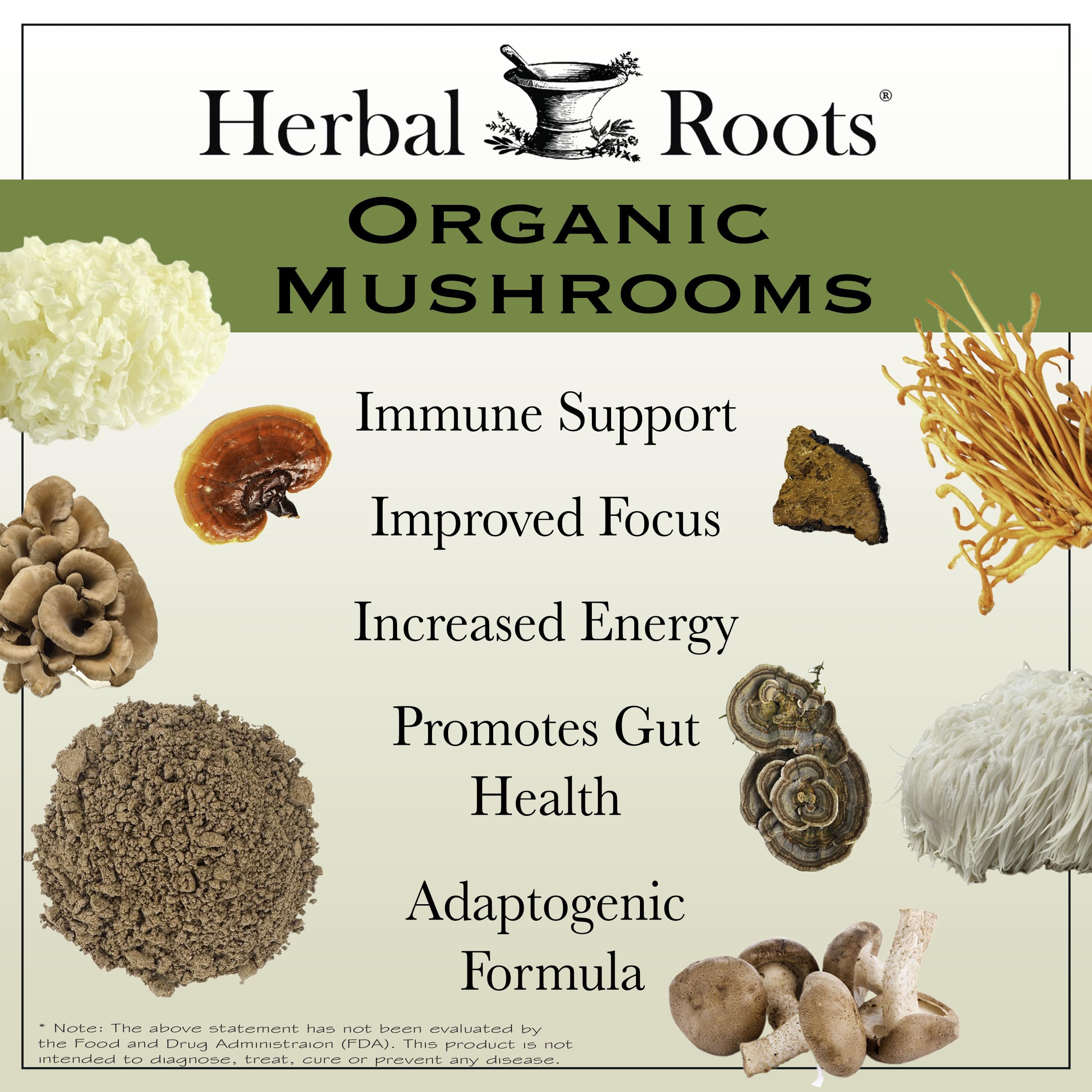 Herbal Roots Mushroom Blend Organic Supplement packaging