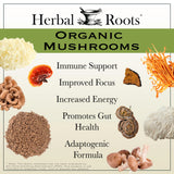 Herbal Roots Mushroom Blend Organic Supplement packaging