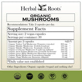 Herbal Roots Mushroom Blend Organic Supplement side view