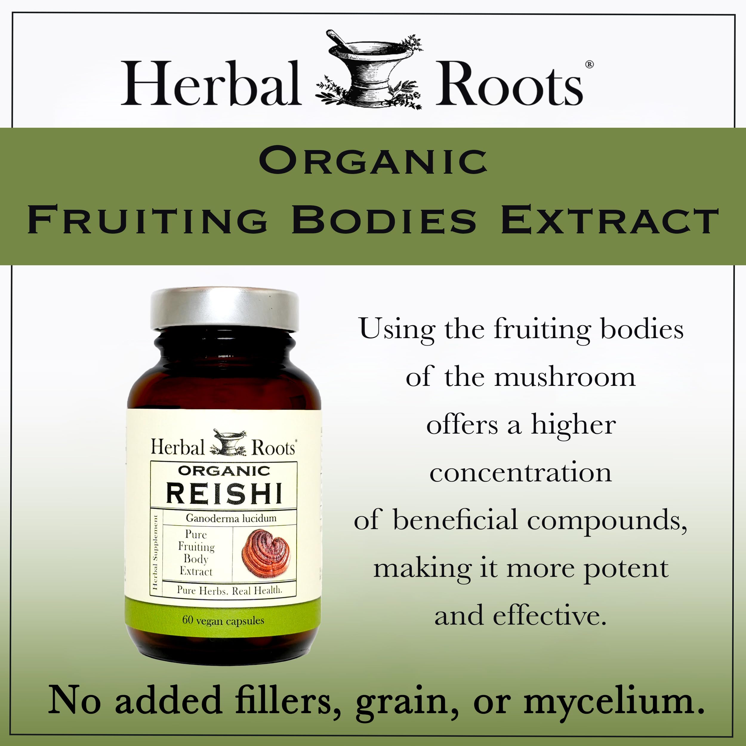 Herbal Roots Mushroom Supplement in a lifestyle setting