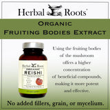 Herbal Roots Mushroom Supplement in a lifestyle setting