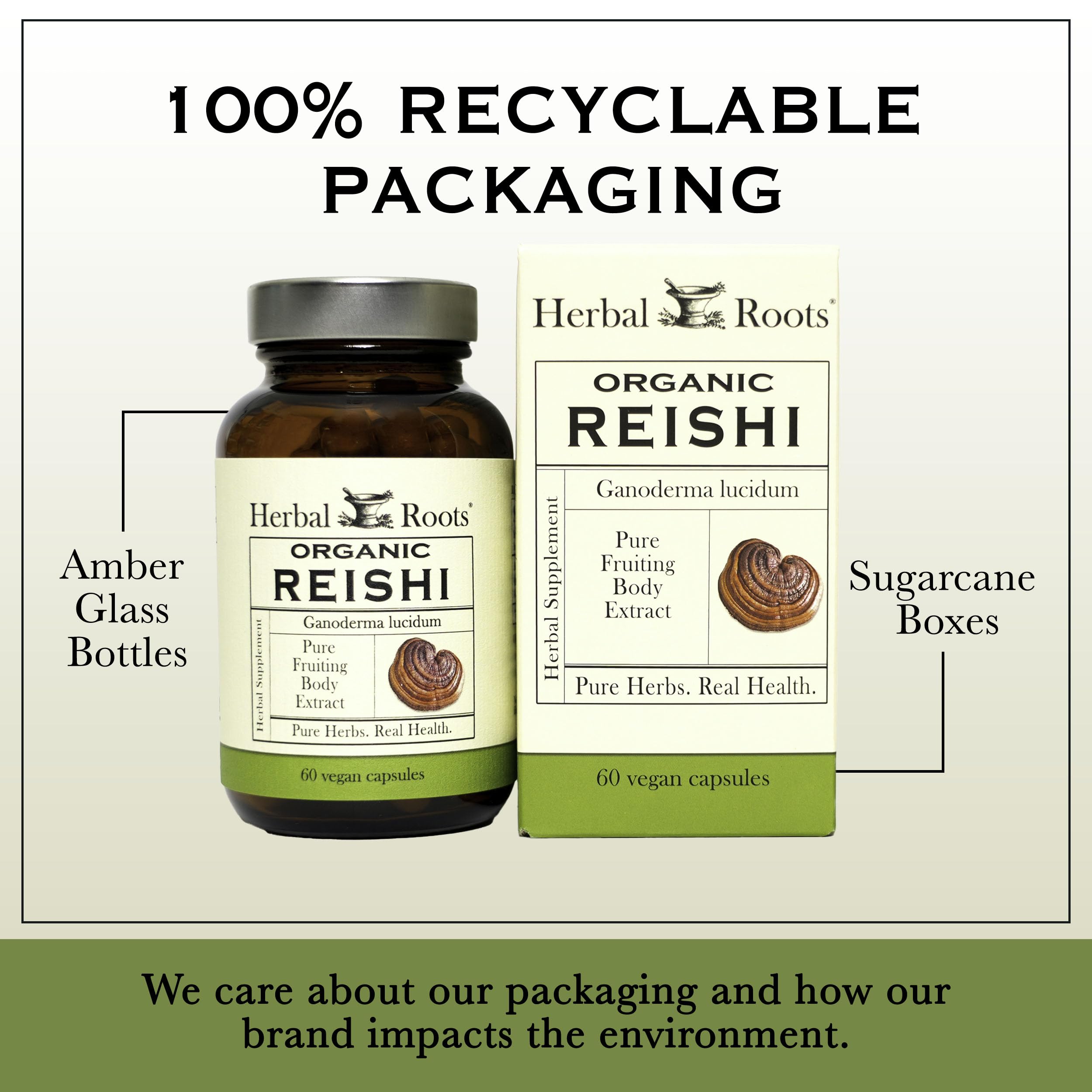 Herbal Roots Mushroom Supplement showing capsules