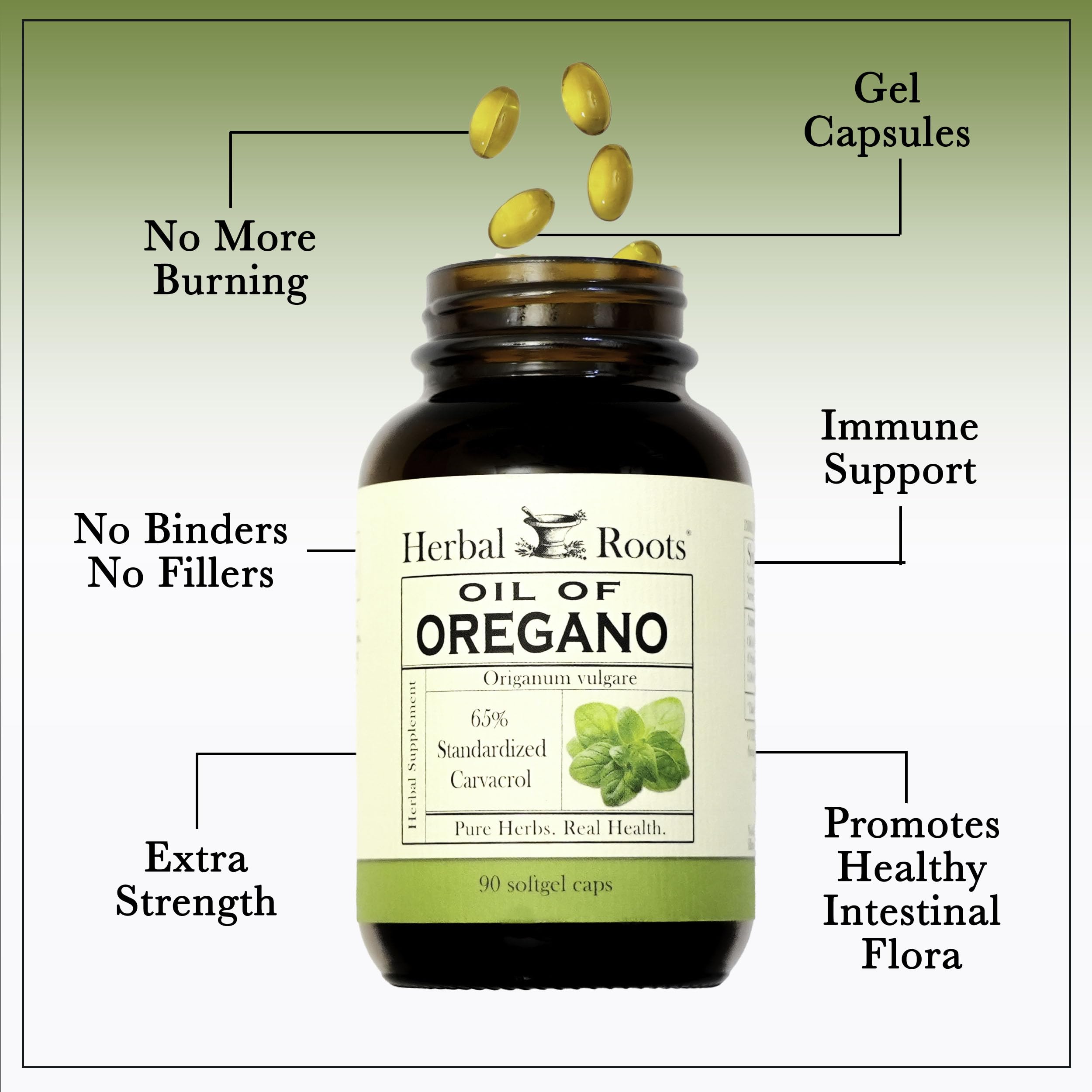 Herbal Roots Oregano Oil Capsules lifestyle scene on a kitchen counter