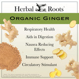 Herbal Roots Organic Ginger Root Capsules back view with ingredient list