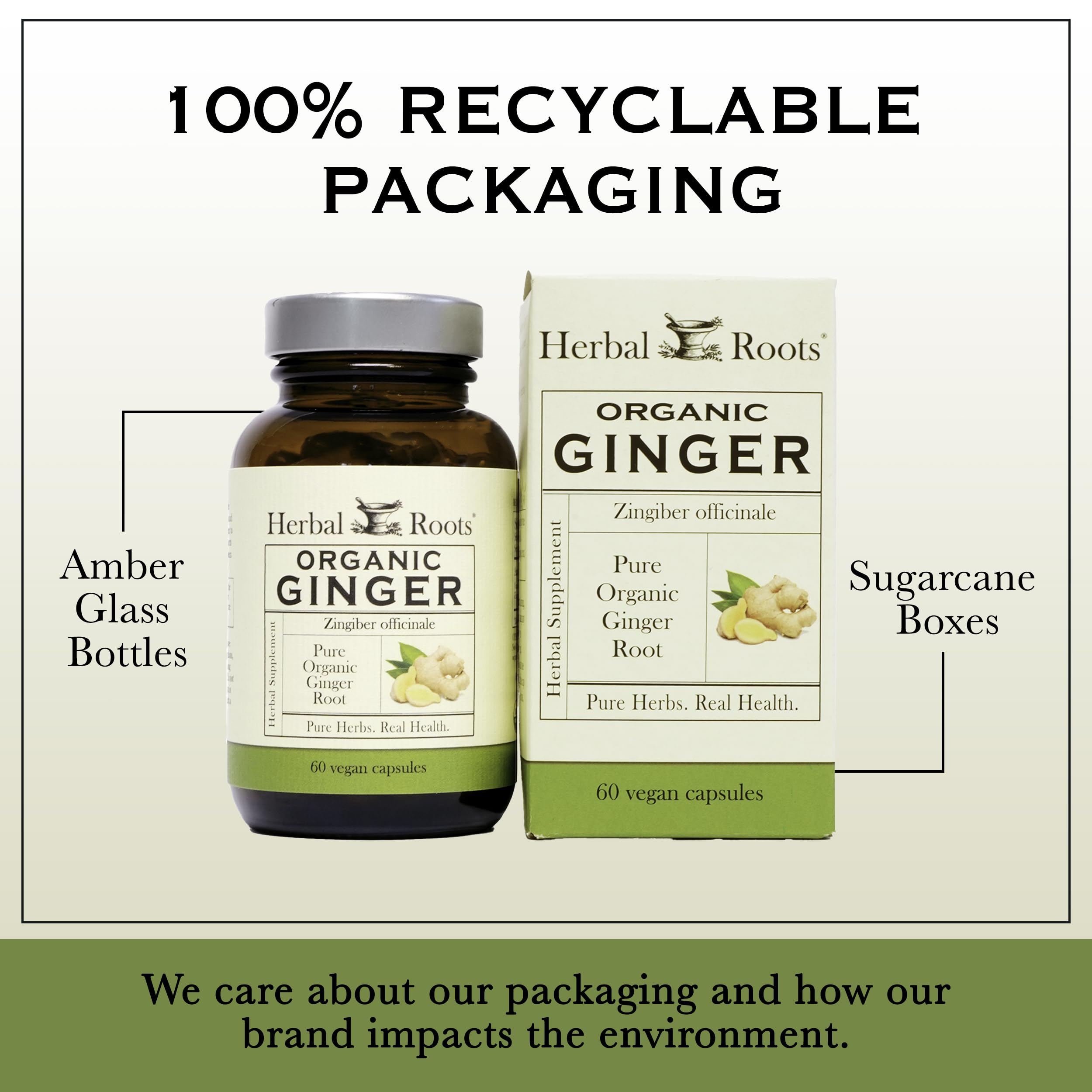 Herbal Roots Organic Ginger Root Capsules close-up of the vegan capsule