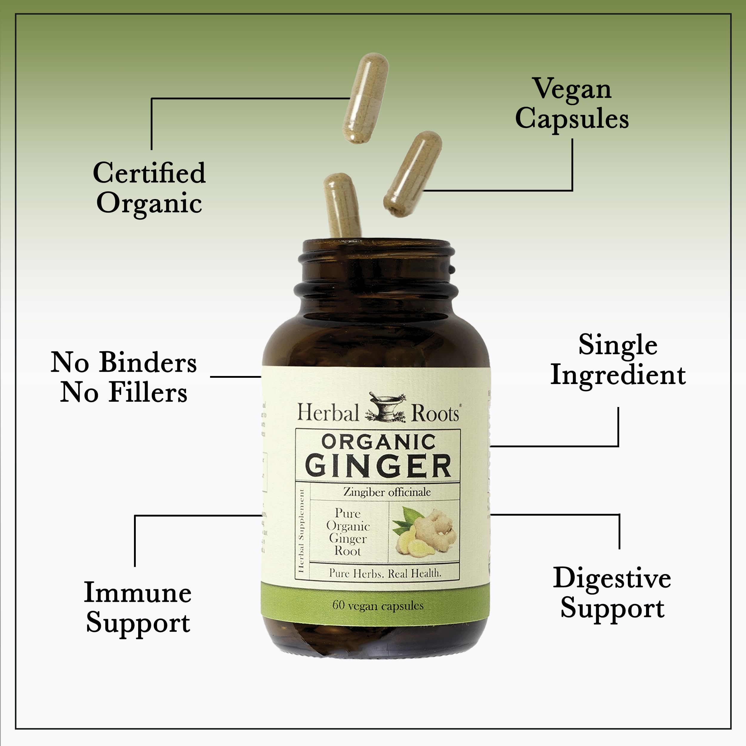 Herbal Roots Organic Ginger Root Capsules lifestyle scene with natural setting