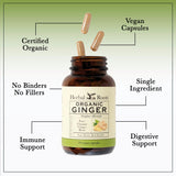Herbal Roots Organic Ginger Root Capsules lifestyle scene with natural setting