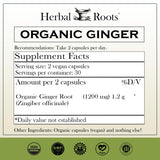 Herbal Roots Organic Ginger Root Capsules side view showing capsule