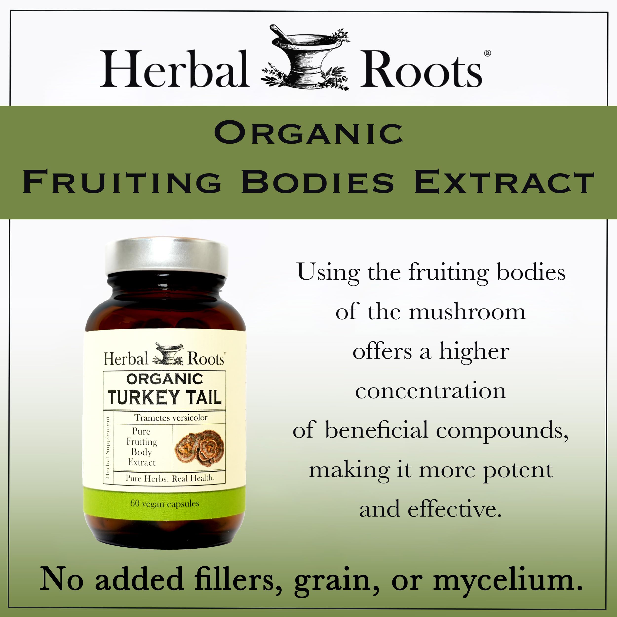 Herbal Roots Turkey Tail Mushroom Extract Capsules on a wooden table