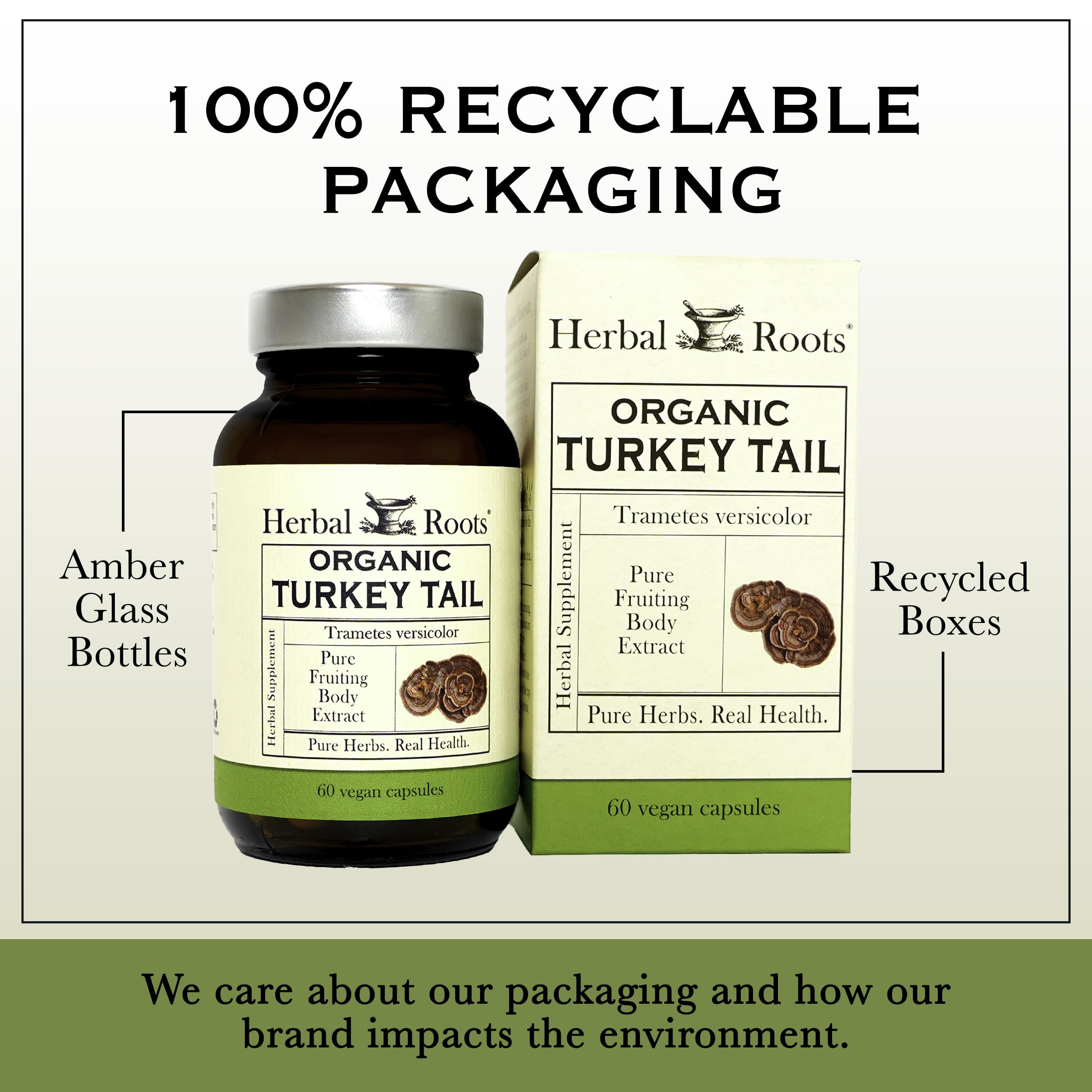 Herbal Roots Turkey Tail Mushroom Extract Capsules with measuring spoon