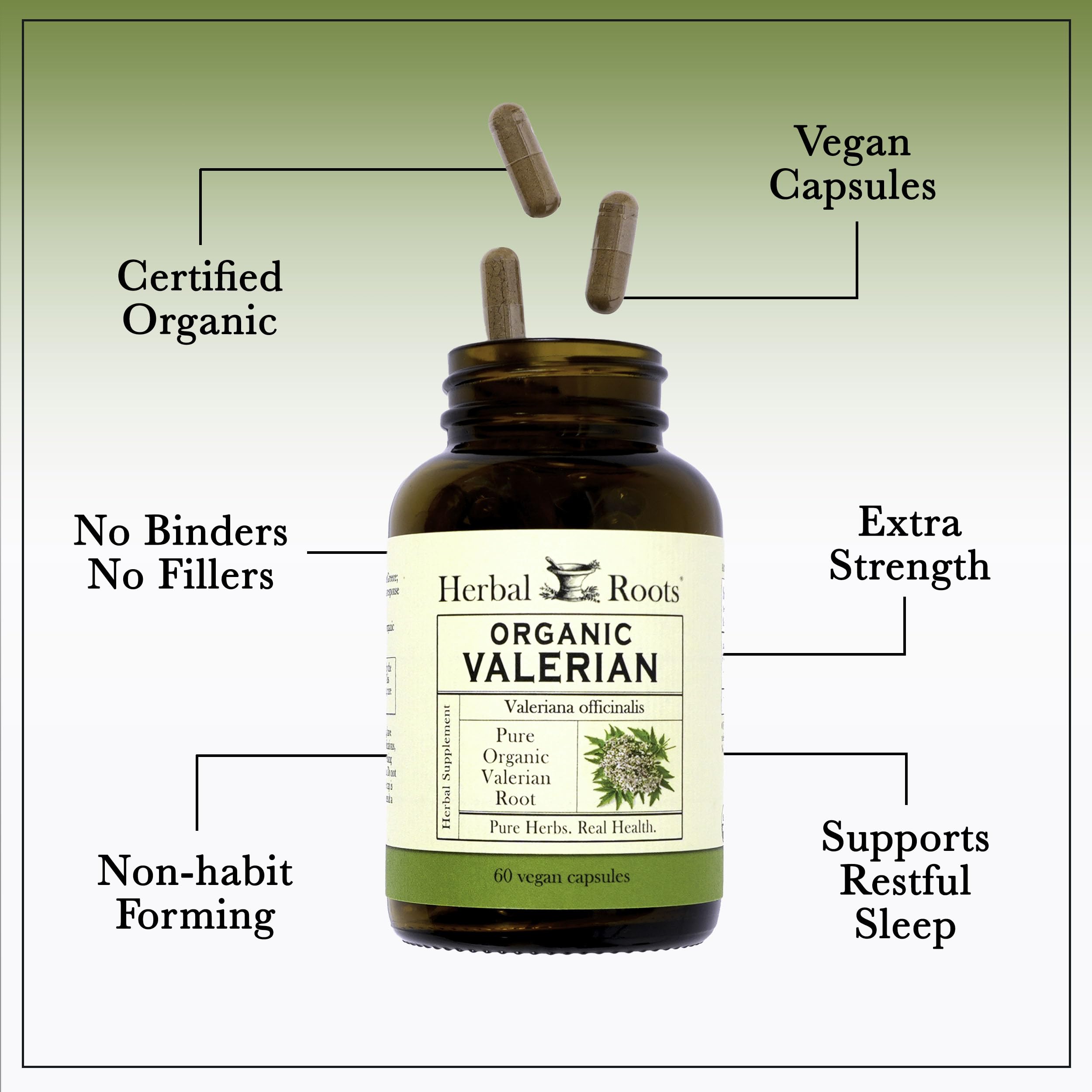 Herbal Roots Valerian Root Capsules on a wooden table