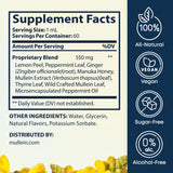 Herbal Tea Therapy Mullein Tincture dropper close-up