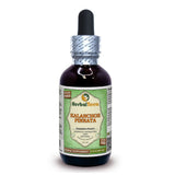 Herbal Terra LLC Kalanchoe Pinnata Liquid Extract 141g bottle front view
