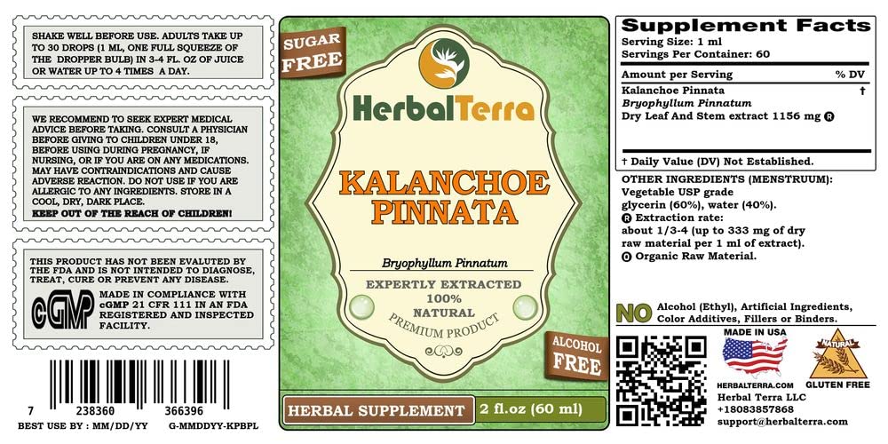 Herbal Terra LLC Kalanchoe Pinnata Liquid Extract 141g bottle side view