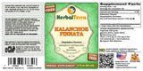 Herbal Terra LLC Kalanchoe Pinnata Liquid Extract 141g bottle side view