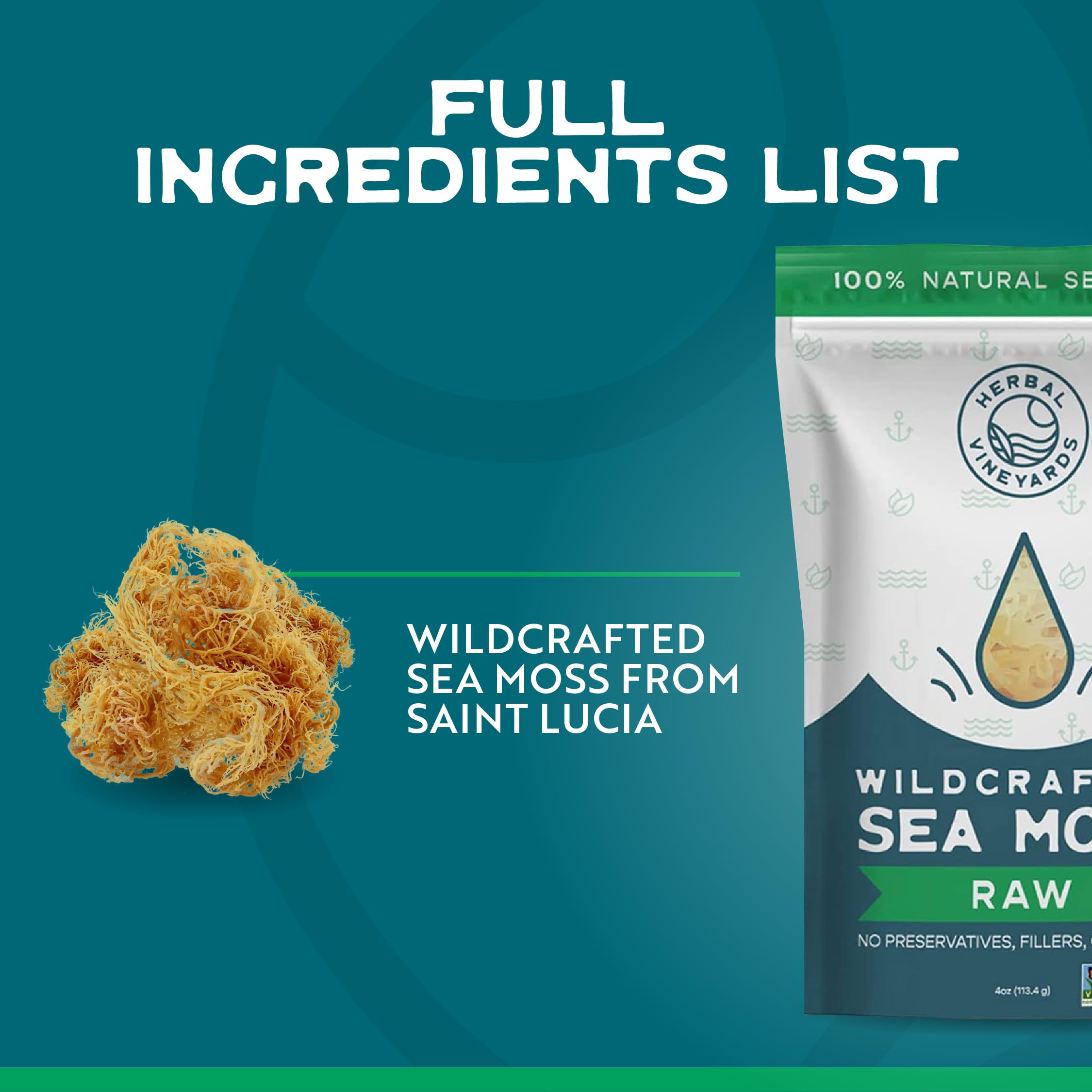Herbal Vineyards Organic Wildcrafted Gold Raw Sea Moss being prepared for use