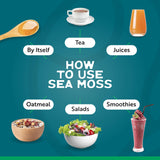 Herbal Vineyards Organic Wildcrafted Gold Raw Sea Moss displayed with herbal teas