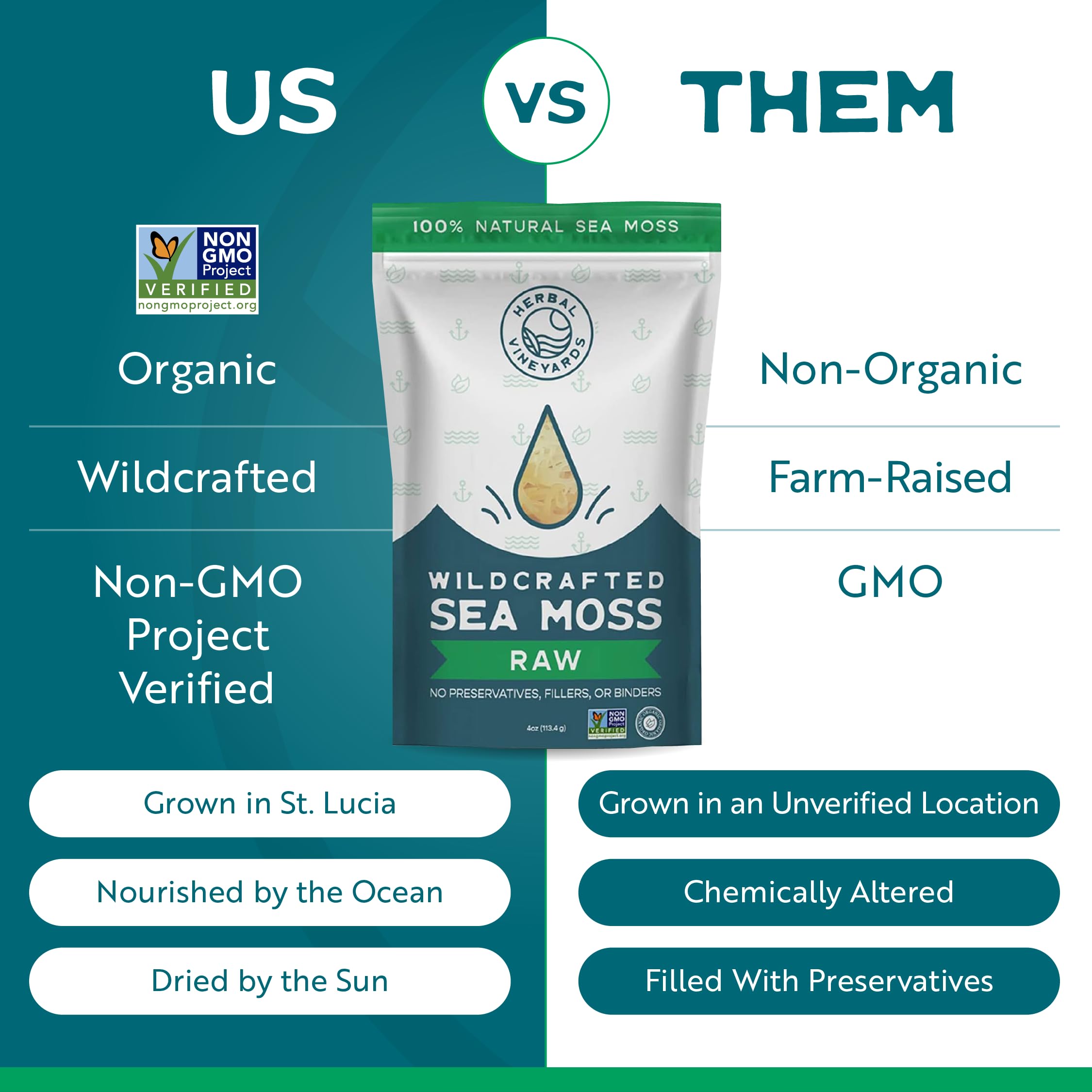 Herbal Vineyards Organic Wildcrafted Gold Raw Sea Moss in a smoothie preparation