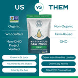 Herbal Vineyards Organic Wildcrafted Gold Raw Sea Moss in a smoothie preparation