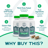 Herbal Vineyards Sea Moss Supplement 68g back view with nutritional information