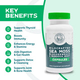 Herbal Vineyards Sea Moss Supplement 68g side view showing ingredients